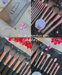 Set de Brochas con Estuche x12